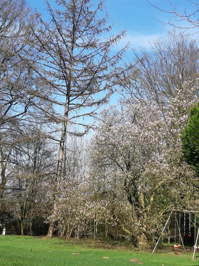 B&B Chatelet Cremers Verviers Zewnętrze zdjęcie